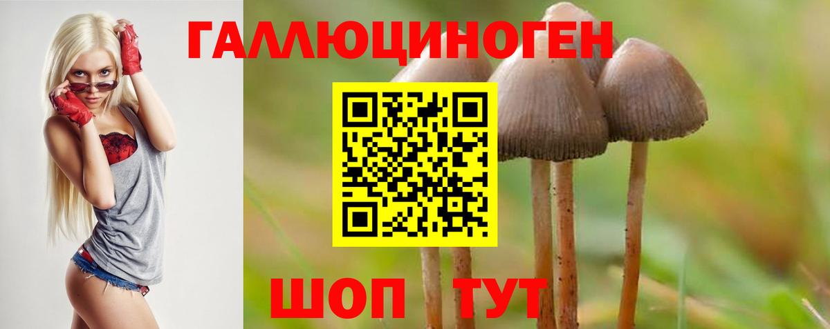 Галлюциногенные грибы Cubensis Учалы